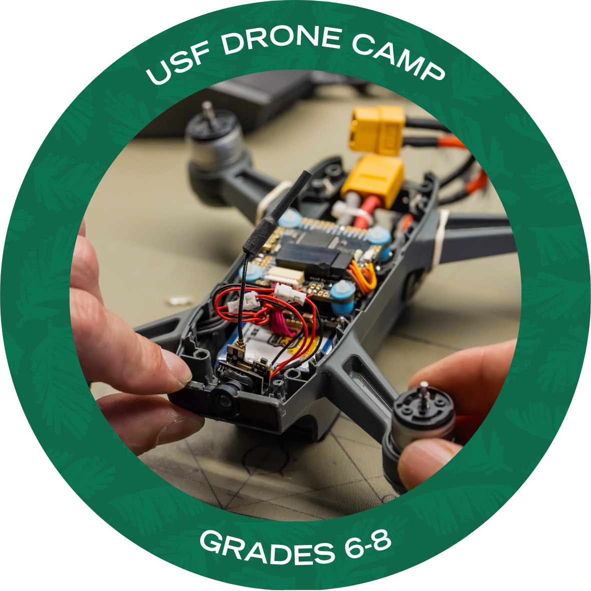 USF Photography Camp with text stating "USF Photography Camp Grades 6-8"