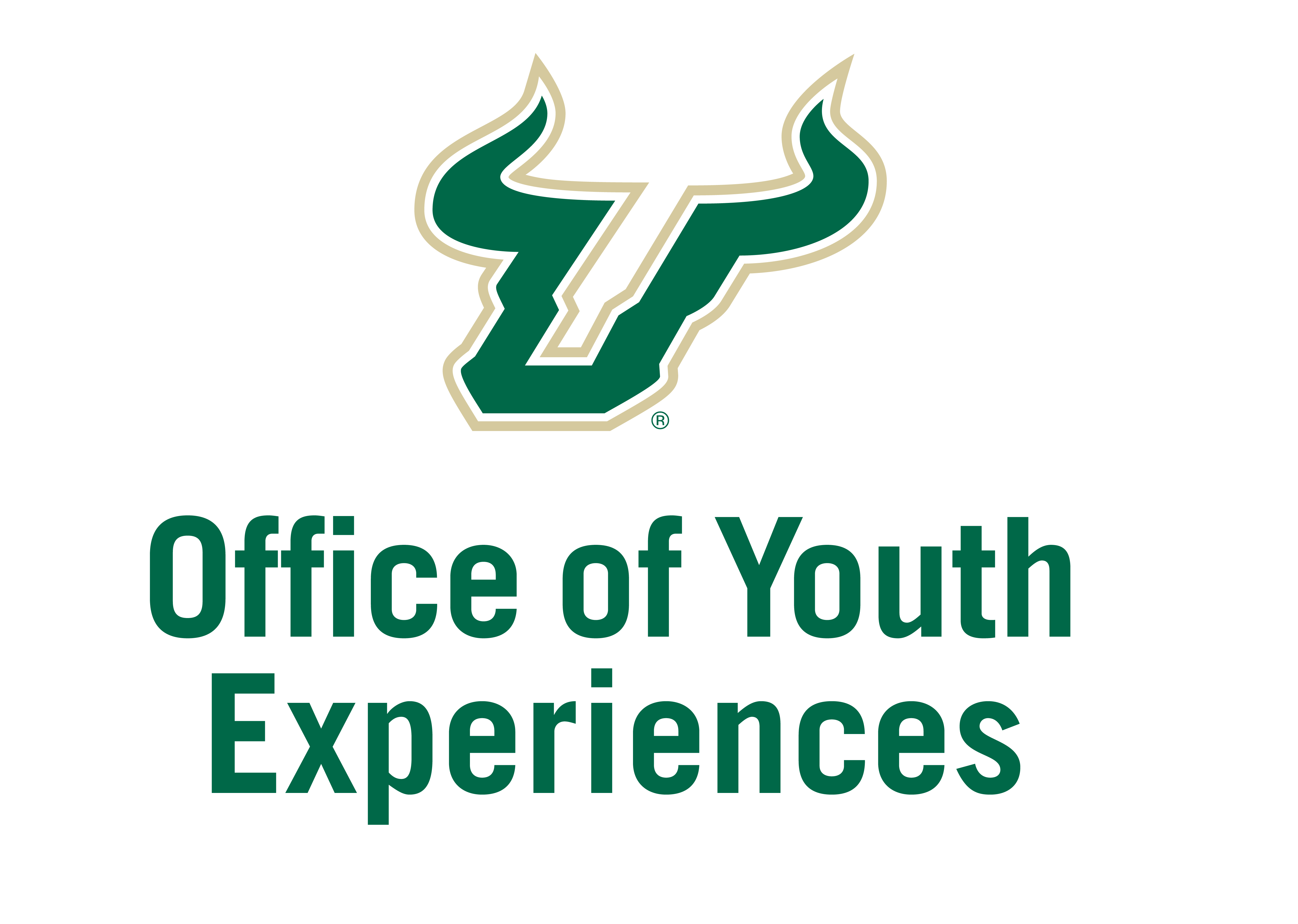 USF Office of Youth Experiences