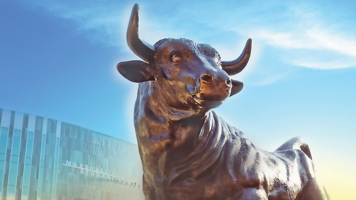 USF Bull statue