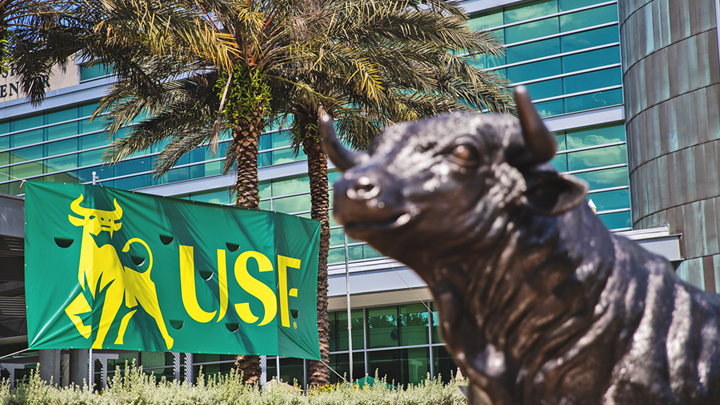 USF new bull banner flying next to the statue of the bull.