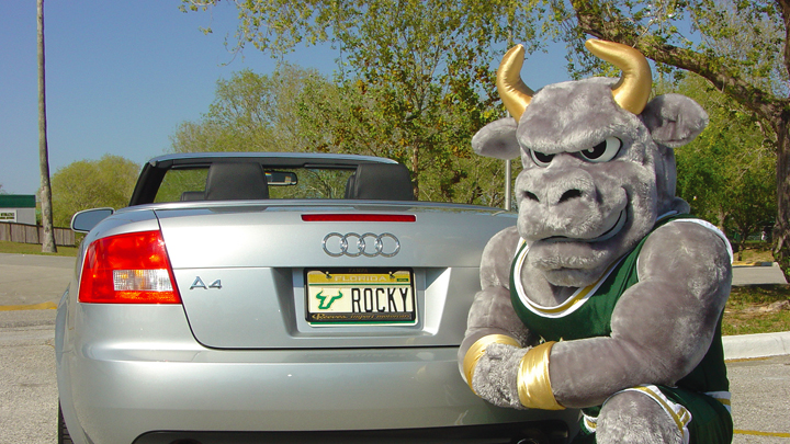 Rocky in 2007 showing off USF spirit license plate