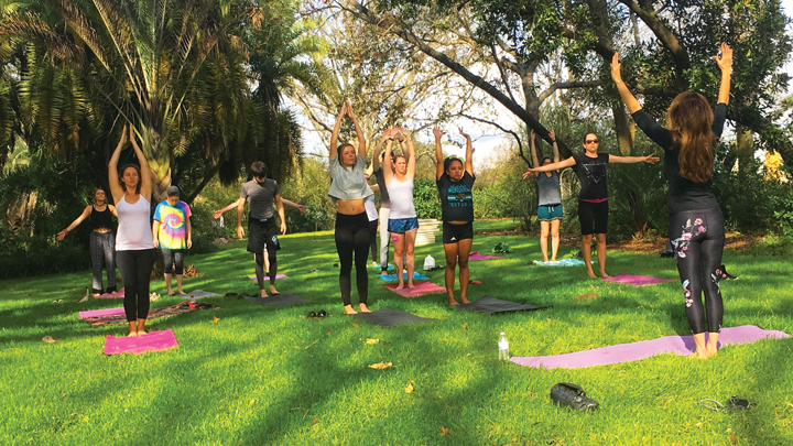 Picture of a yoga class at the USF Botanical Gardens