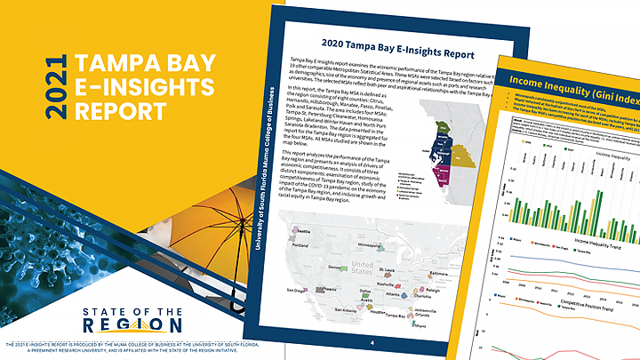 Picture of pages from Tampa Bay E-Insights Reports