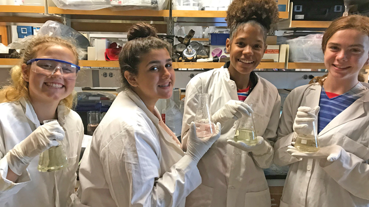 A group of girls working in the lab in 2017