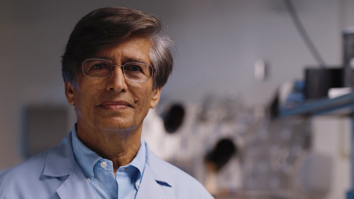 Yogi Goswami is a distinguished professor and inventor of the Molekule air purifying system.