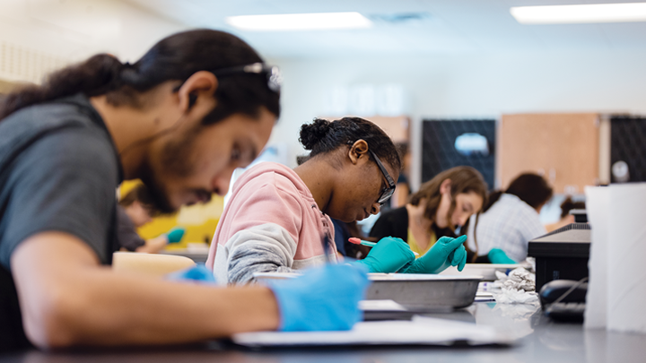 A zoology class on St. Pete campus, circa fall 2018. Students work in a lab, wearing blue lab gloves.