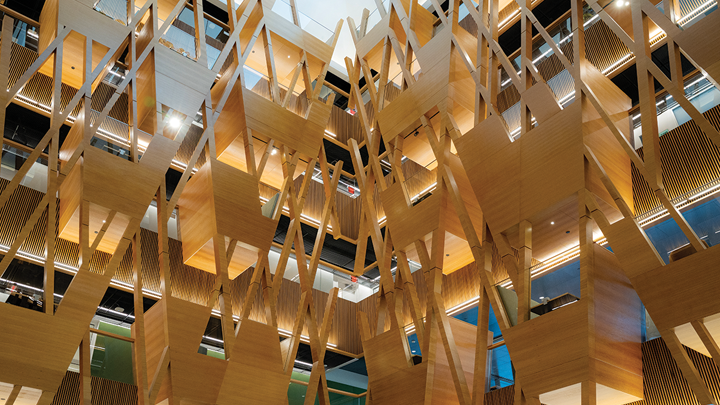 A wooden lattice of study cubbies, light golden brown color, climb four stories in the new Honors College building’s atrium.