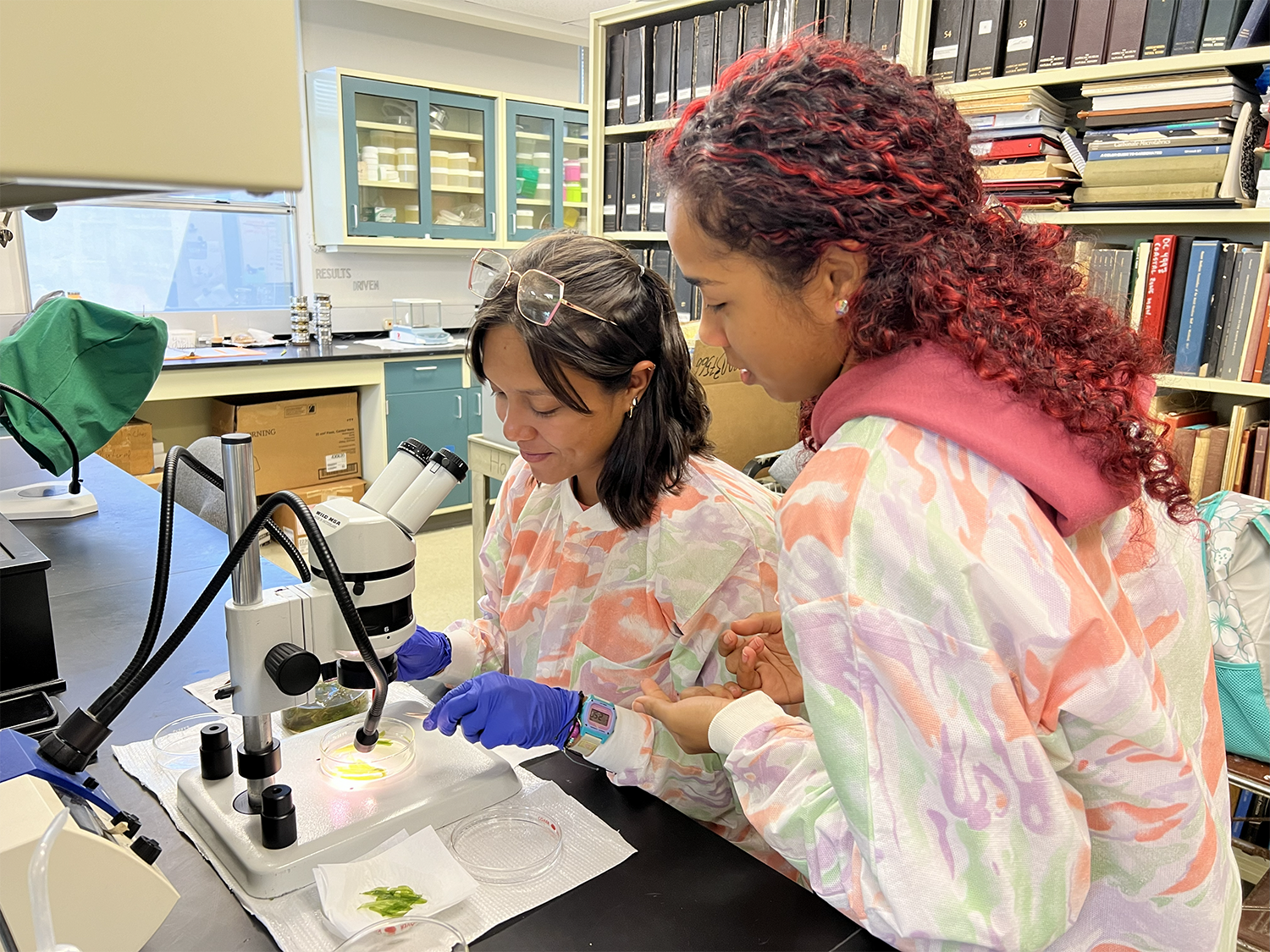 Eligibility and How to Apply Reu 2026