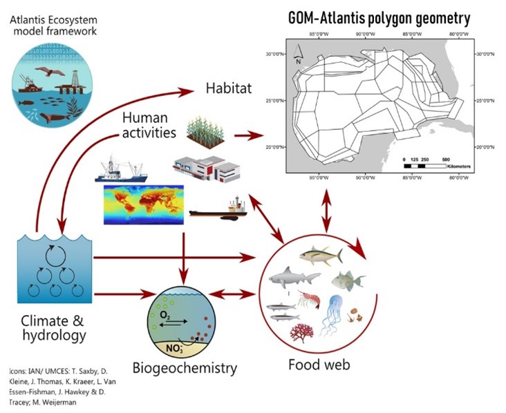 Atlantis consists of numerous sub-models representing biogeochemistry, physics, ecology and human activities.  