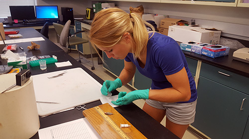 Biological Oceanography