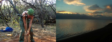 Carbon and Sediment Cycling on the Island of Lana’i, Hawai’i