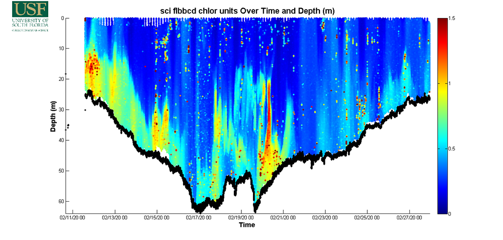 Chlorophyll fluorescence highlighting near bottom blooms indicative of red tide related conditions.