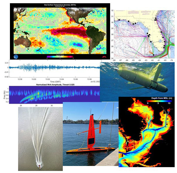 USF CMS COMPS Research Collage 