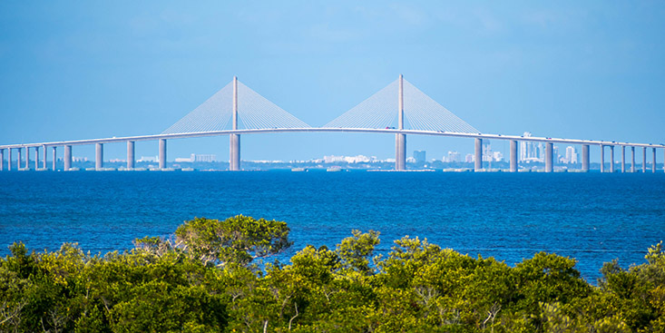 Contact the Flood Hub, Tampa Bay Skyway