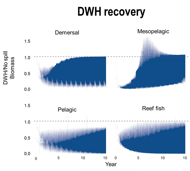 Morzaria Luna et al. (2022) used cloud computing and statistical emulators to characterize the uncertainty in Deepwater Horizon oil spill ecosystem simulations. 