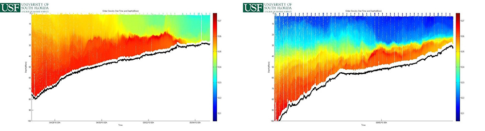 Density profiles showing water mass changes of a Tampa Bay transect during April (left) and August (right) 2010.  