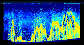 Echogram