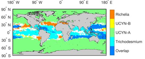 Estimated niches of different diazotrophs in the global ocean. 