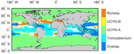 Estimated niches of different diazotrophs in the global ocean.