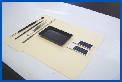 Standard foraminiferal analysis tools include artist's paint brushes, forceps, spatula, gridded picking tray, and gridded cardboard micropaleontological slides.