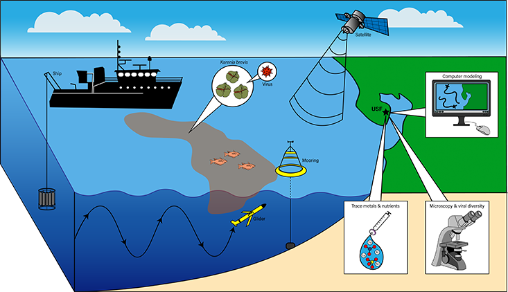 HAB Infographic 3D version. Photo credit: Makenzie Kerr