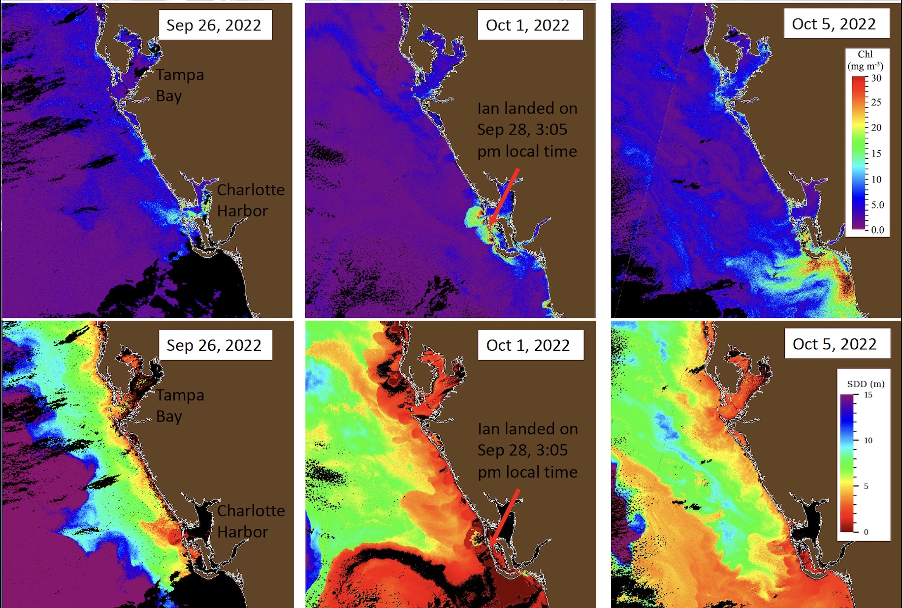 Top: High concentrations of chlorophyll-a (an index for algae) are found mostly near Charlotte Harbor mouth and Sanibel Island on October 1, which further developed to an extensive algae bloom, mostly south of the Sanibel Island, a few days later. Bottom: After Ian’s landfall, water clarity reduced to between two and five meters in some nearshore regions.