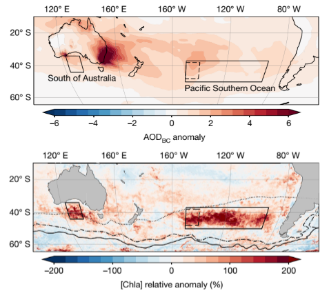 Large increase in chlorophyll a concentration in response to wildfire aerosol deposition.