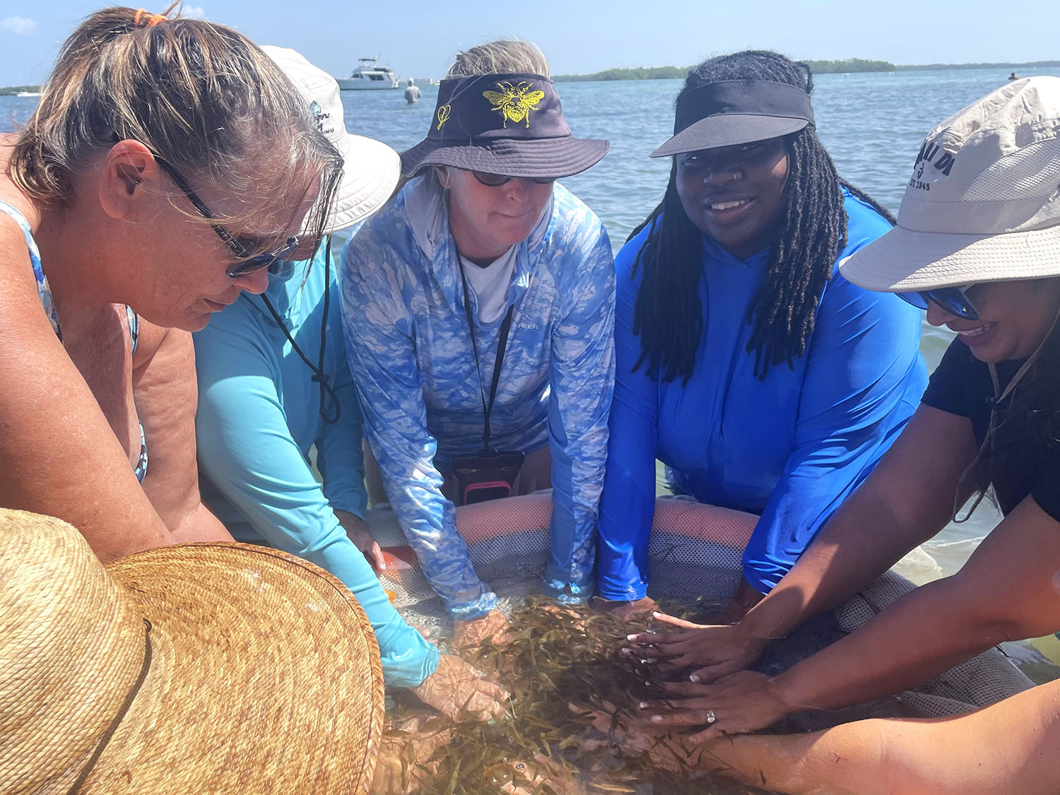OSPREY teacher training