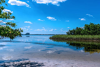  The Florida Flood Hub for Applied Research and Innovation, Mangrove shoreline, Coastal Resilience