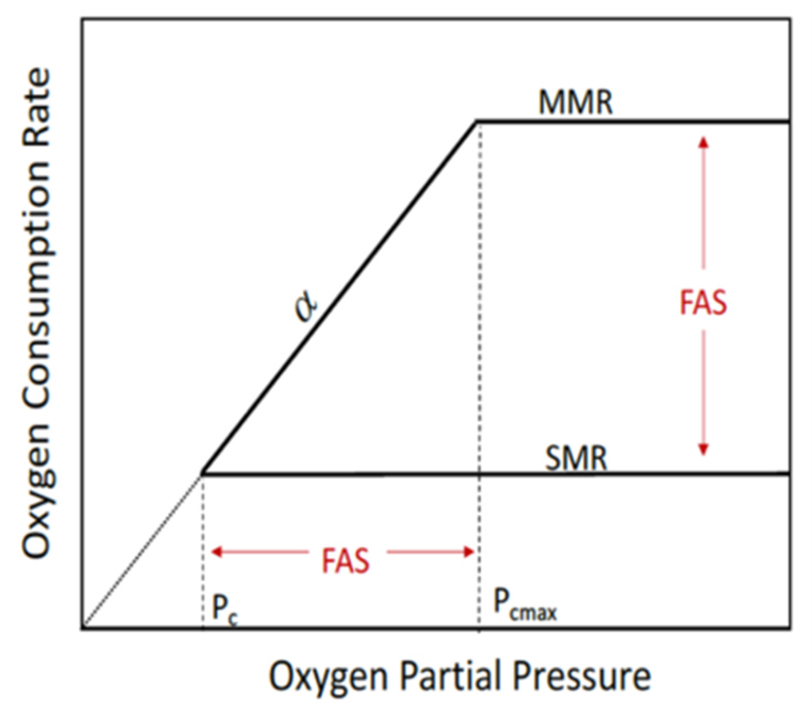 Oxygen supply and demand
