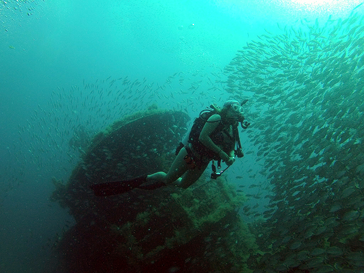 A Fish Ecology Lab member surveys an artificial reef on the West Florida Shelf. Photo courtesy of the Fish Ecology Lab.