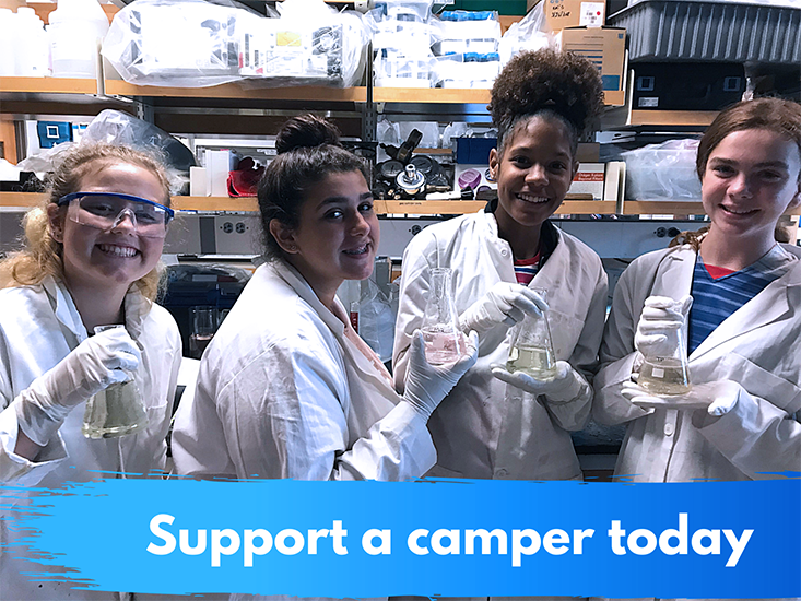 Support a Camper Today!