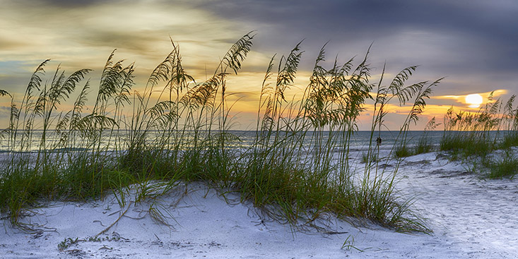 Our Team - Flood Hub, Beach Dunes, Coastal Resilience