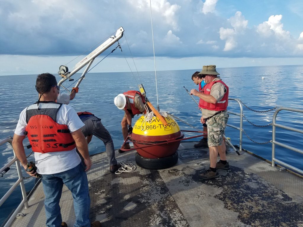 Undergraduate Internships at USF Center for Maritime and Port Studies