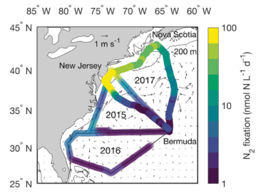 Underway continuous measurements of N2 fixation rate in the North Atlantic.