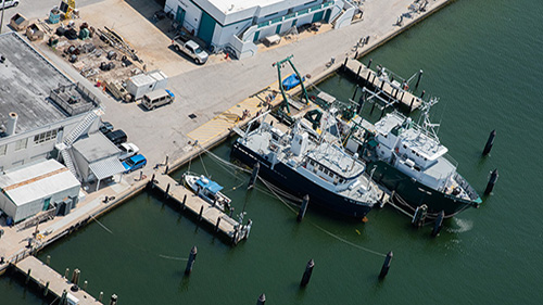 FIO Research Vessels