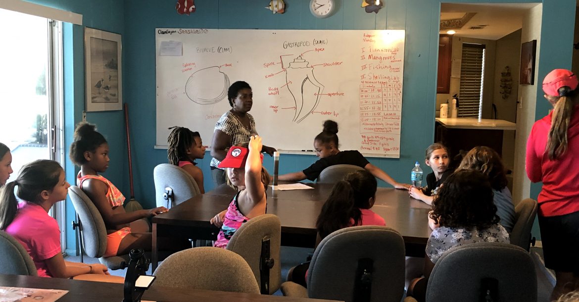 During field trips to Clam Bayou Marine Education Center learners are immersed in a series of customizable outdoor and indoor activities. Teachers choose the activities that meet their educational goals. Students are immersed in authentic, marine science field and lab work, including career exploration.