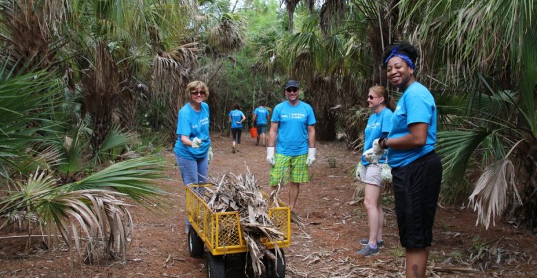 Participants from the Duke Energy Corporation helped to remove fallen trees and marine debris along the coastline during an Ocean Stewardship day. 