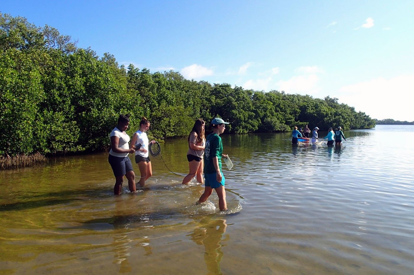 USF College of Marine Science Programs for Graduate Students