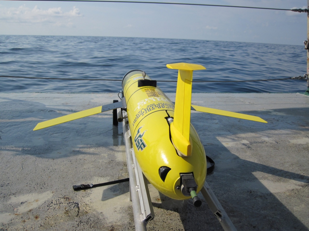 USF Glider prepared for deployment in the northern Gulf of Mexico for researching water column properties near the Deepwater Horizon oil spill in May 2010. (Vessel R/V Weatherbird II, Photo Credit: Andrew Warren)