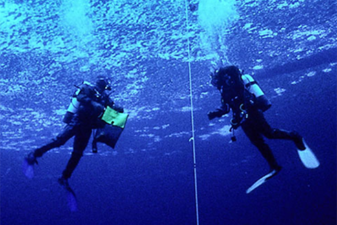 Developed in partnership with the USF College of Marine Science, the blue economy concentration is tailored for professionals who want to lead in maritime trade, coastal tourism and fisheries management.