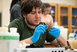 USF Department of Integrative Biology