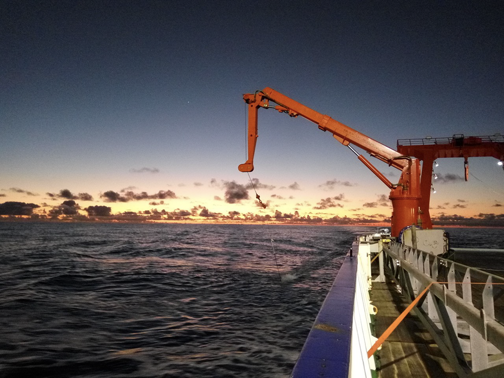 Project 5: Faculty Mentor: Dr. Yao Fu