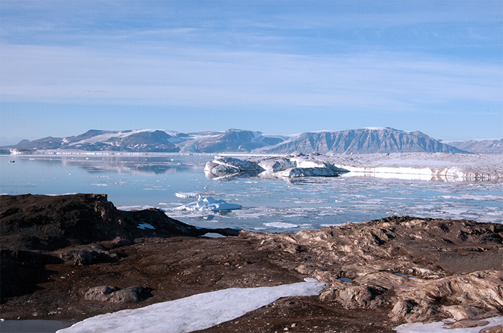 The 79°N glacier in Greenland. Credit: Stephen Krisch