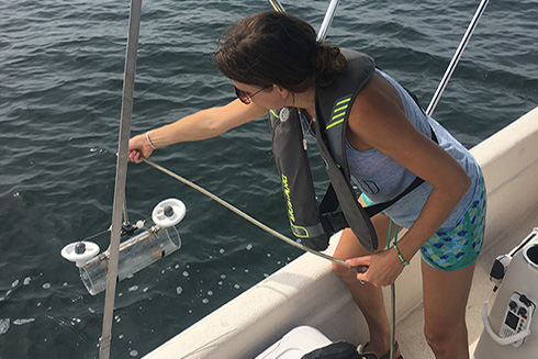 A discrete sampler being lowered a couple feet below the water's surface to collect microplastics. Photo Credit: Kinsley McEachern