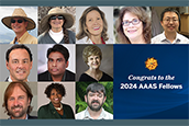 Eleven USF faculty among 2024 class of Fellows of American Association for the Advancement of Science