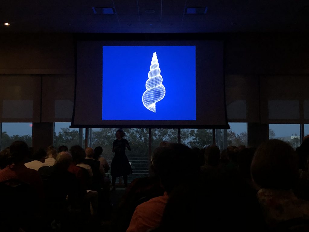 Pictured: An animation of how a seashell expands to form a spiral shape.