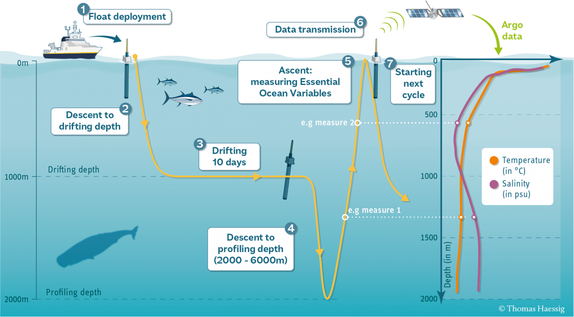 Argo cycle schematics