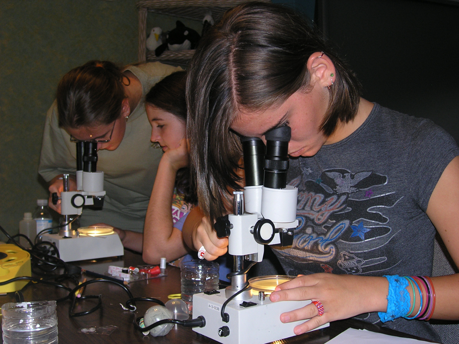 Practicing bacterial fingerprinting