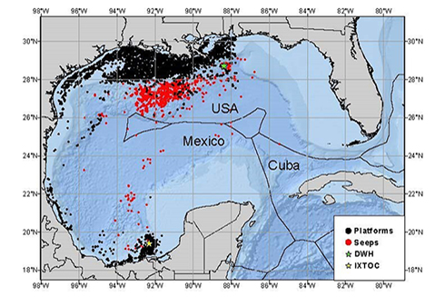 Oil Toxins Pervasive in Gulf of Mexico